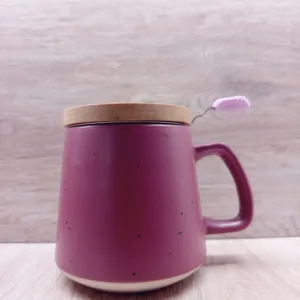 Tazze Infusiere e tisaniere 2 tazza da te stoneage youtea colore bordeaux con filtro e coperchio in bambu2